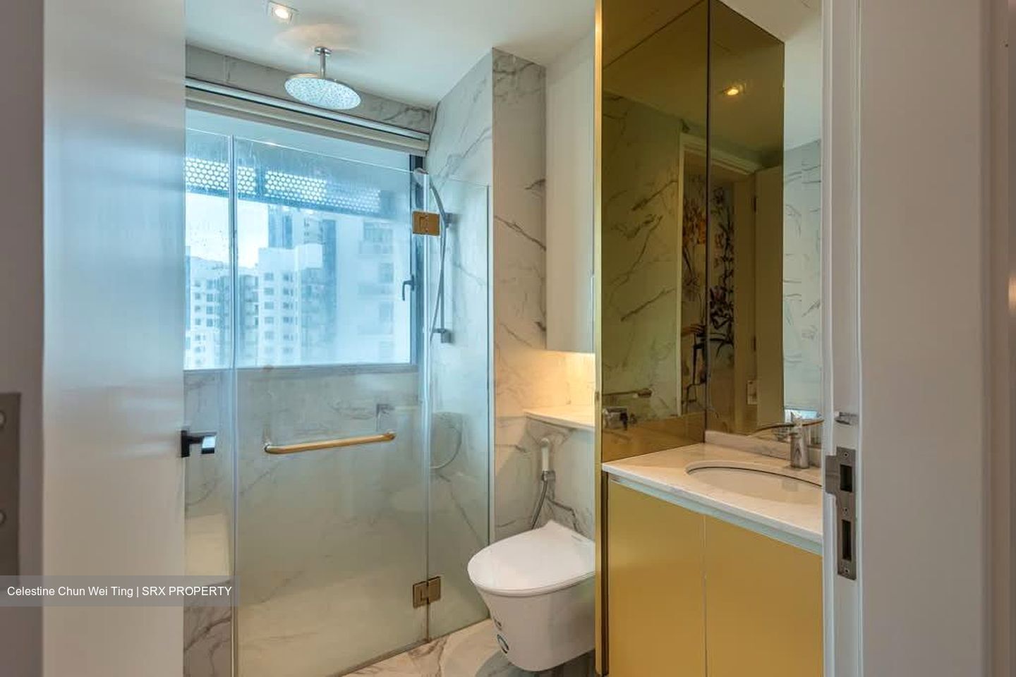 Robin Suites (D10), Apartment #565817621